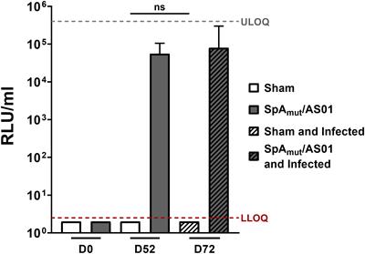 Vaccination with staphylococcal protein A protects mice against systemic complications of skin infection recurrences